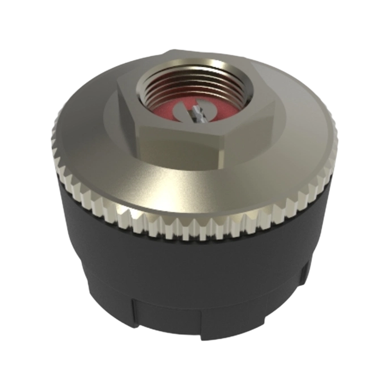 乘用车外置式胎压传感...